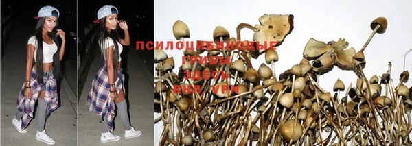 jwh Нязепетровск